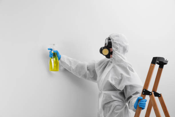 Environmental Consulting for Mold Prevention in Delhi Hills, OH